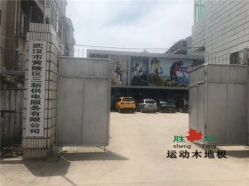 湖北武漢黃陂供電局羽毛球館木地板